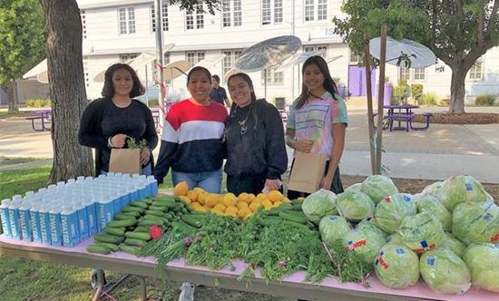Los Angeles Farmer's Market