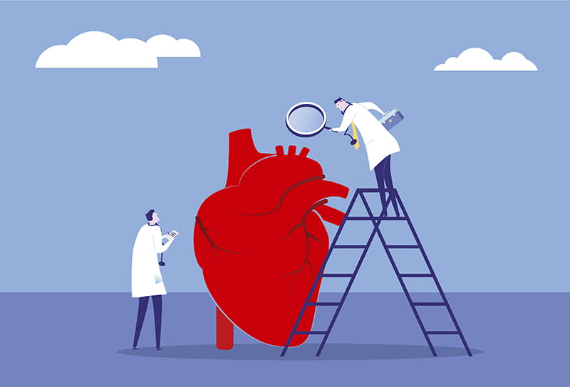 an illustration of a human heart being examined by scientists