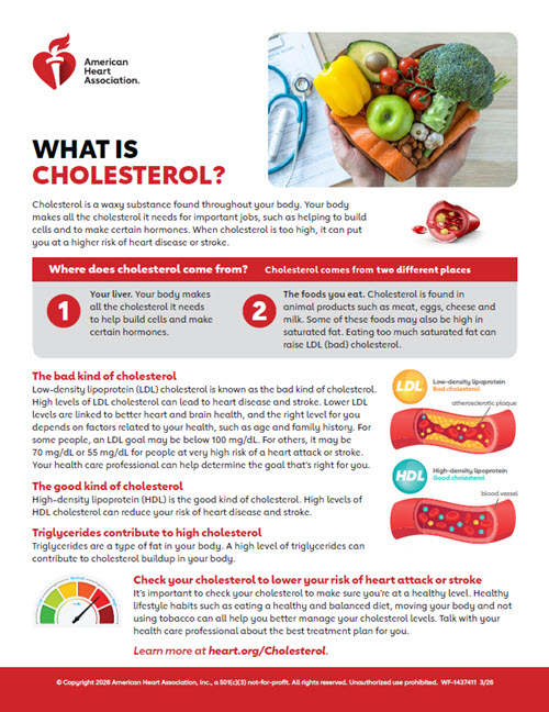 What is cholesterol? infographic