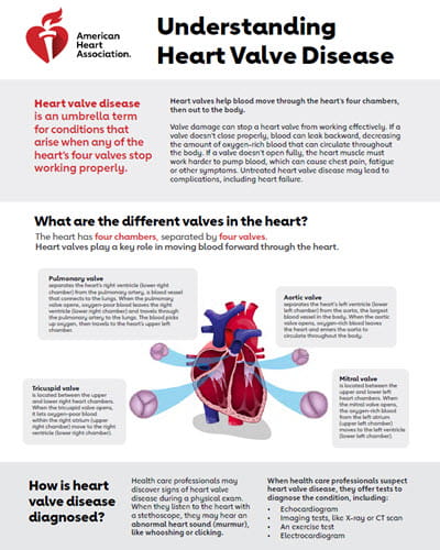 Understanding heart valve disease infographic