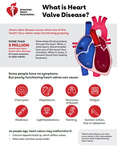 What is heart valve disease infographic