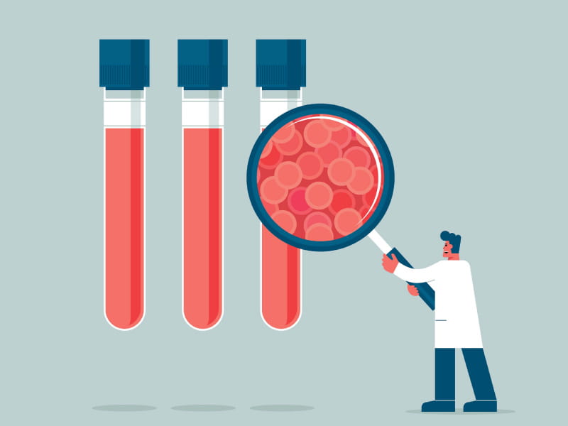 sorbetto/DigitalVision Vectors via Getty Images