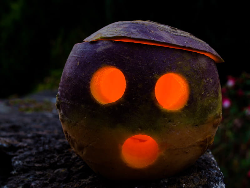 Fiantas/iStock via Getty Images