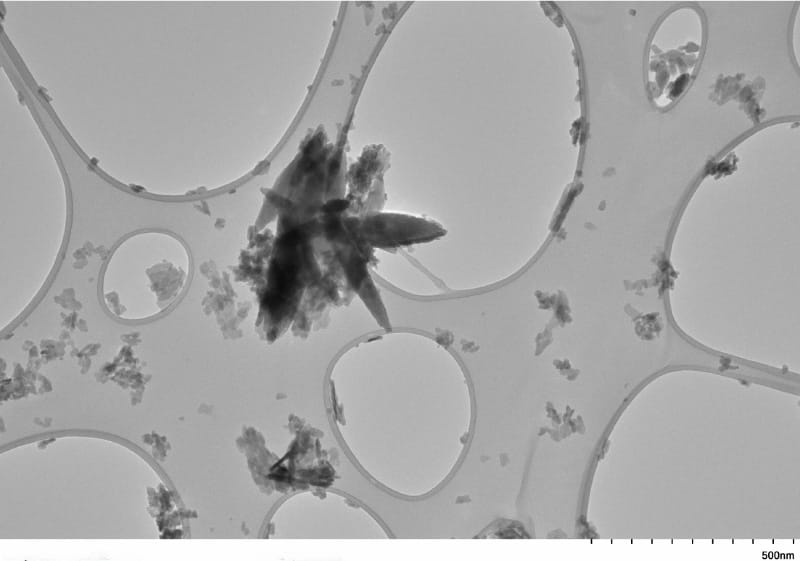 A transmission electron microscopy image showing microplastic and nanoplastic fragments in carotid artery plaque. (Photo courtesy of University of New Mexico)