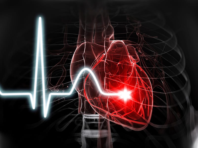 illustration of a heartbeat line graph over a stylized human heart