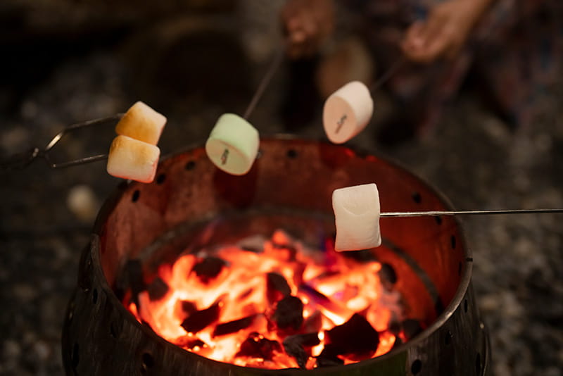 close-up of several marshmallows on skewers roasting over a low fire