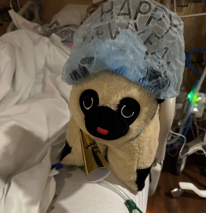 Ed Breech's family bought Ed a stuffed pug that didn't leave his side at the hospital. (Photo courtesy of the Breech family)