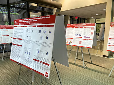 A display of research posters on easels in a bright, open room.