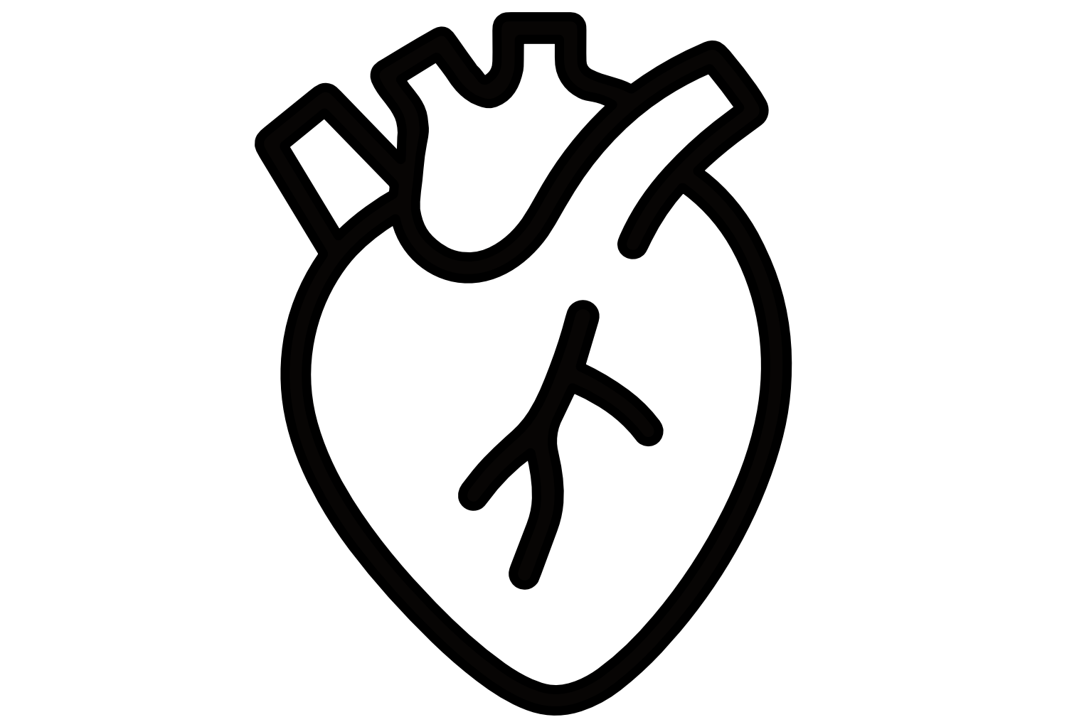 Illustration of human heart