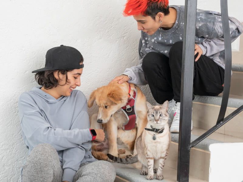 Edgar Barragan Juarez/Moment via Getty Images