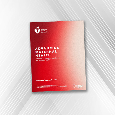 picture of the cover of the Maternal Health Recommendations