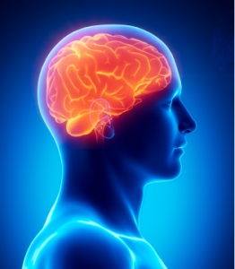 Stroke Death Falls NEWS-12-30-02