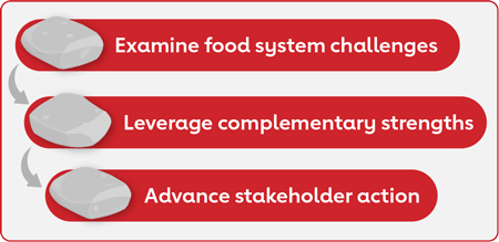 Stepping Stones Process Timeline: 1. Examine food system challenges 2. Leverage complementary strengths 3. Advance stakeholder action