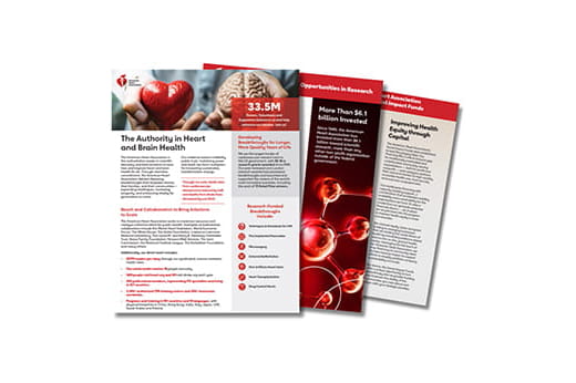 thumbnail image of Funding Priorities document