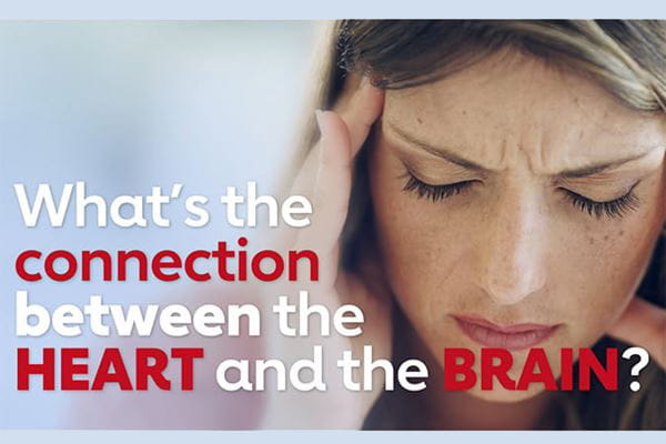 What's the connection between the heart and the brain? video screenshot