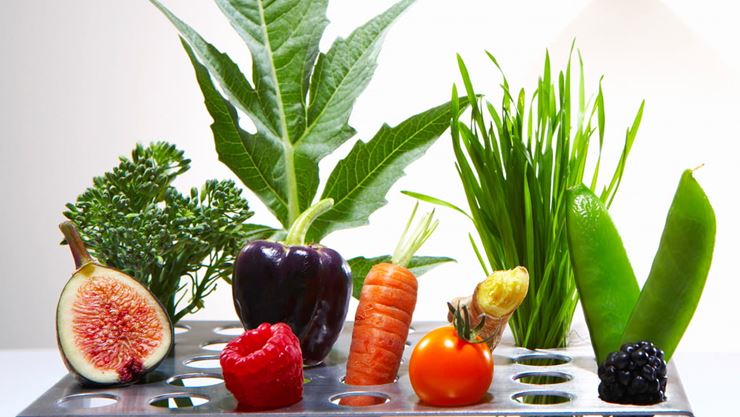 la ciencia de la comida