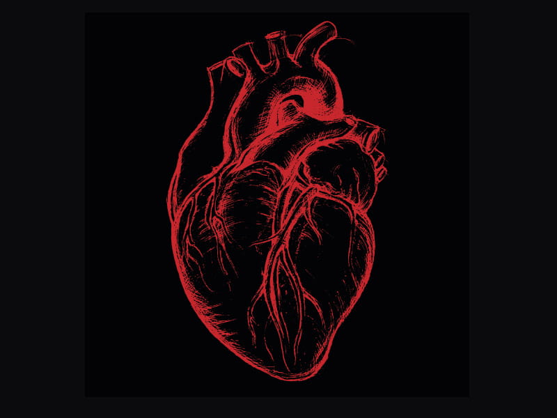 13UG13th/iStock via Getty Images