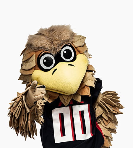 Freddie Falcon, the Atlanta Falcons mascot