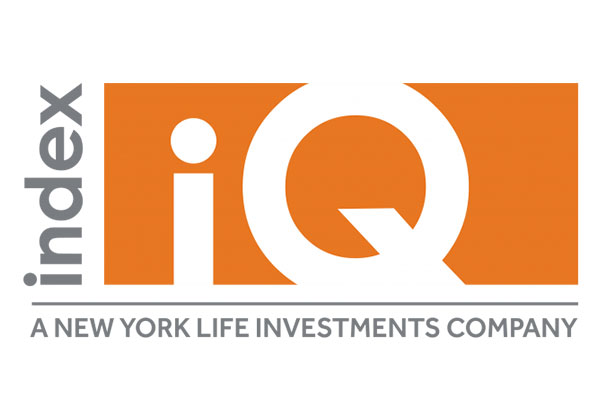 New York Life Investment Management LLC (NYLIM) and IndexIQ Advisors LLC (IndexIQ)  logo